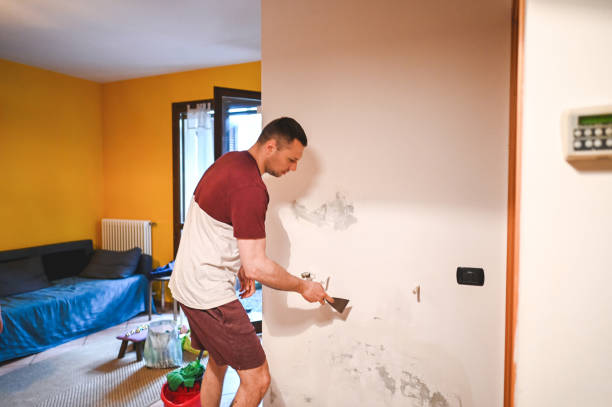 Best Best Mold Removal Companies  in Eunice, NM